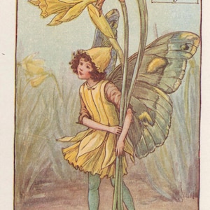 Flower Fairies: The DAFFODIL FAIRY Vintage Print c1930 by Cicely Mary Barker