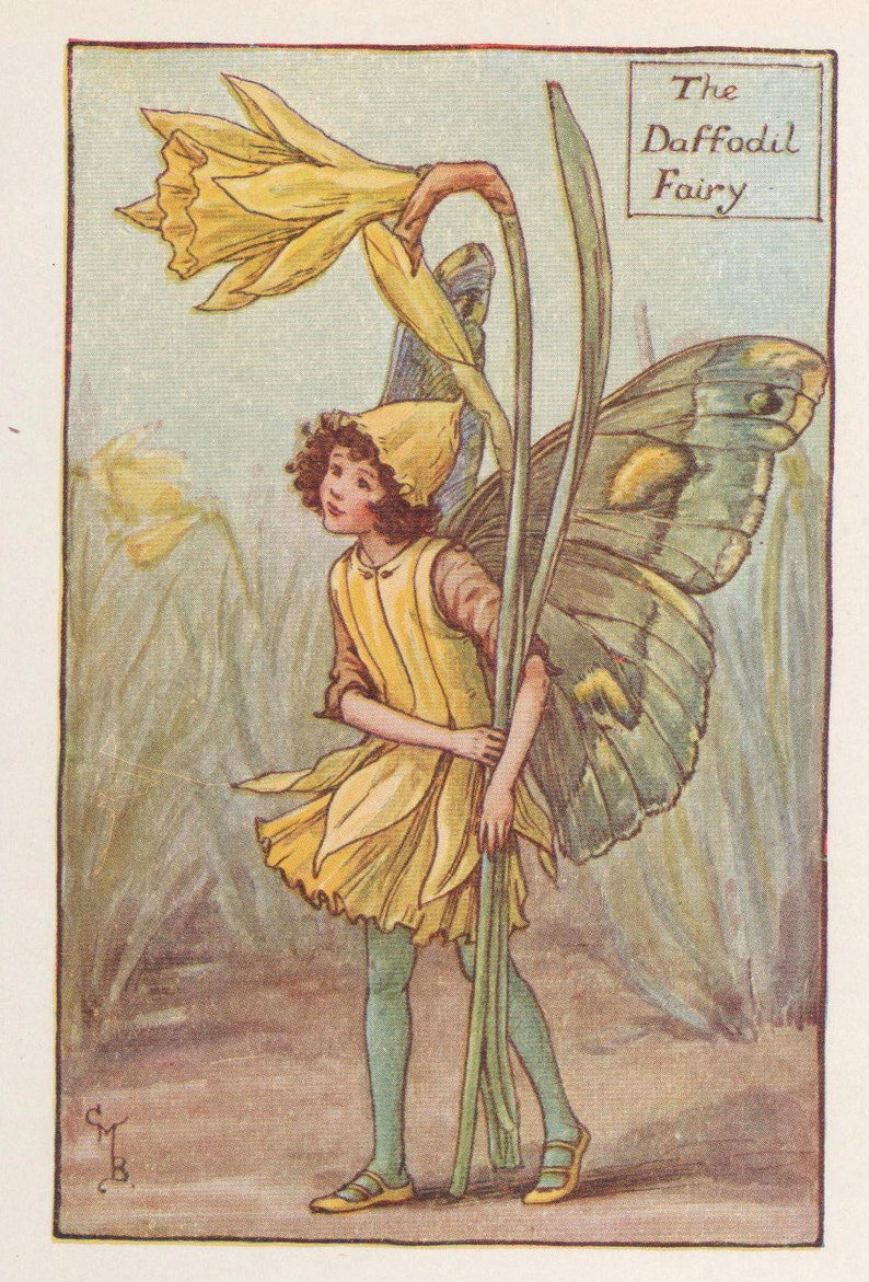 Flower Fairies: The DAFFODIL FAIRY Vintage Print c1930 by image 1