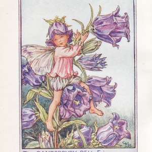 May include: A fairy with wings sits on a purple flower, holding another purple flower in her hand. The fairy is wearing a pink dress and a purple hat. The text "The CANTERBURY BELL Fairy" is at the bottom of the image.