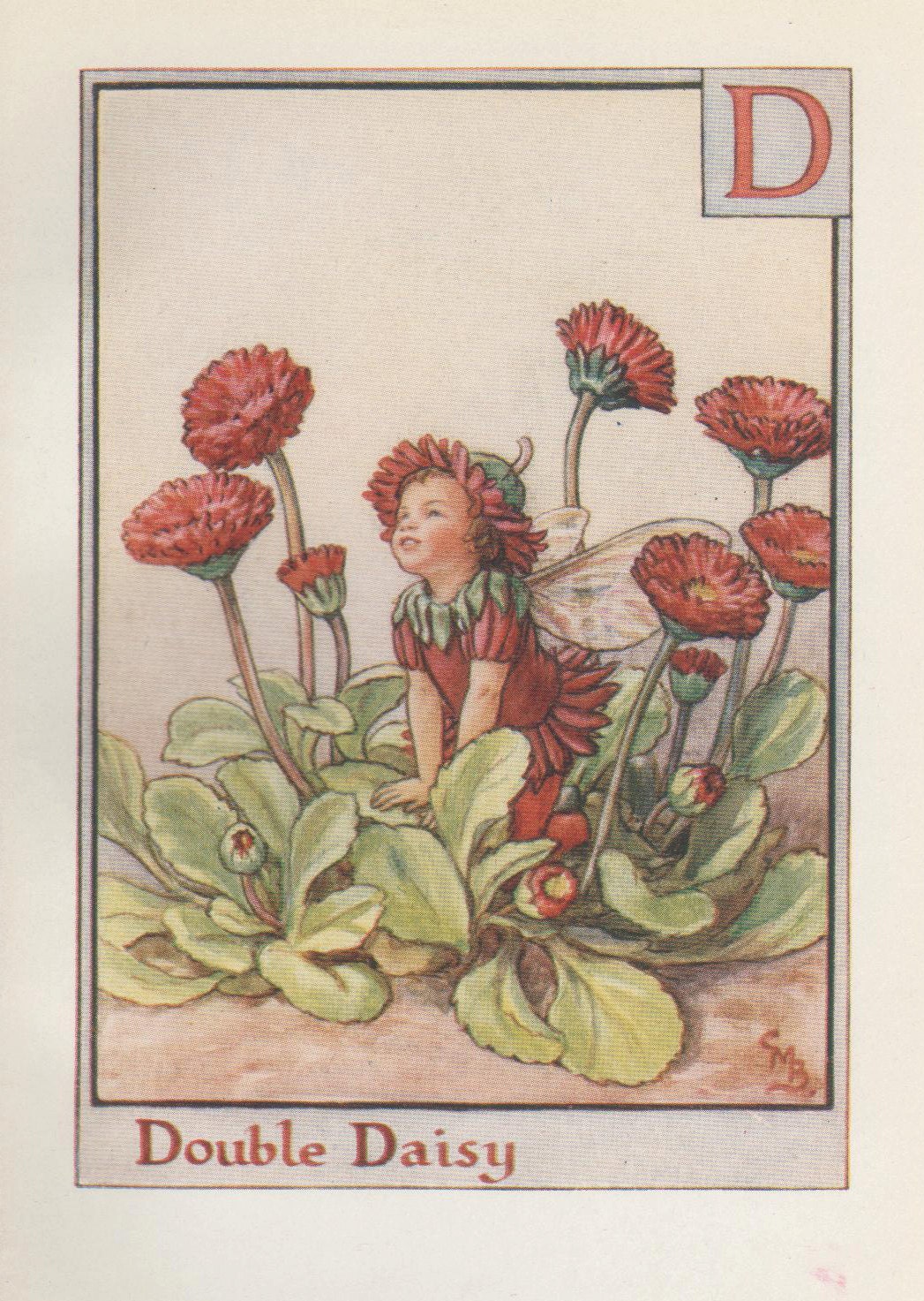 Flower fairies Alphabetの妖精 Alphabet Flower Fairies: H for HERB TWOPENCE FAIRY Vintage