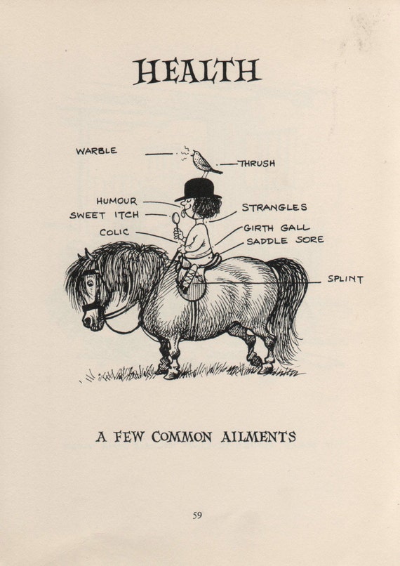 Original 1962 Funny THELWELL HORSE  PONY Vintage Art Cartoon Print