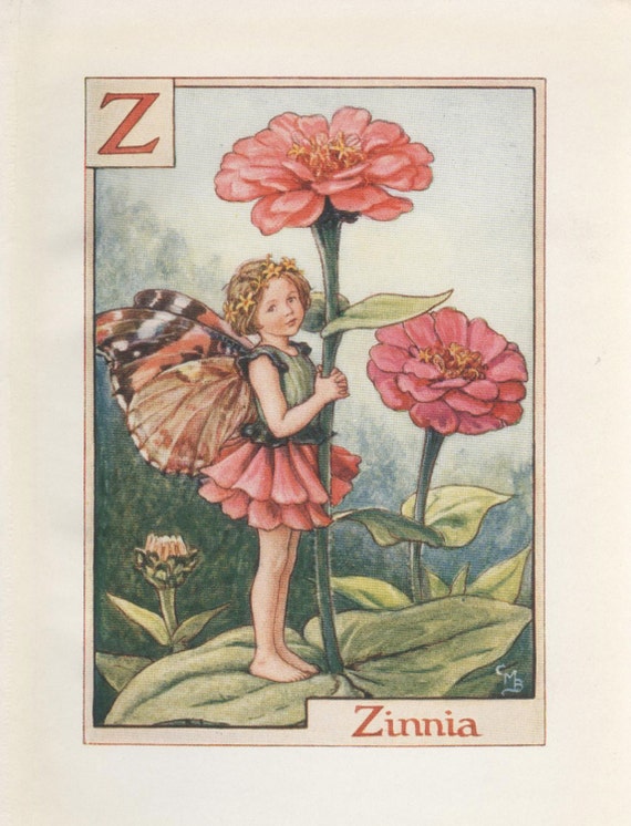 人気特価をすべて Alphabet Flower Print Vintage FAIRY ZINNIA for Z Fairies: 洋書