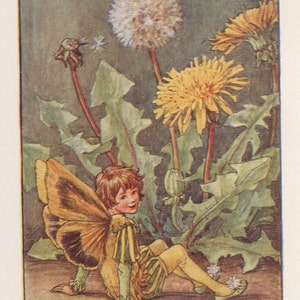 Flower Fairies: The DANDELION FAIRY Vintage Print c1930 by Cicely Mary Barker