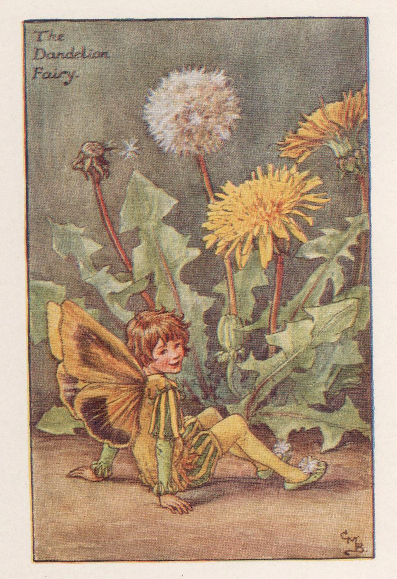 Flower Fairies: The DANDELION FAIRY Vintage Print c1930 by image 1