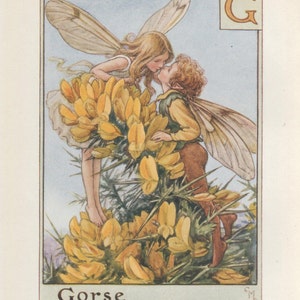 Alphabet Blumenfeen: G für GORSE FLOWER FAIRY Vintage Print c1930 von Cicely Mary Barker letter