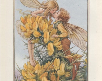Flower fairies Alphabetの妖精 A Flower Fairy Alphabet (Serendipity Books): Barker, Cicely