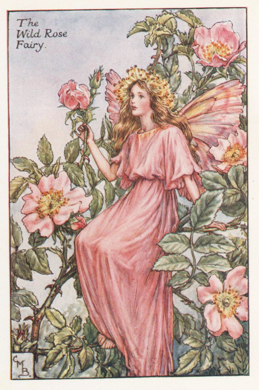 花の妖精: 野生のバラの妖精 ヴィンテージプリント c1930 花の妖精: 野生のバラの妖精 ヴィンテージプリント c1930