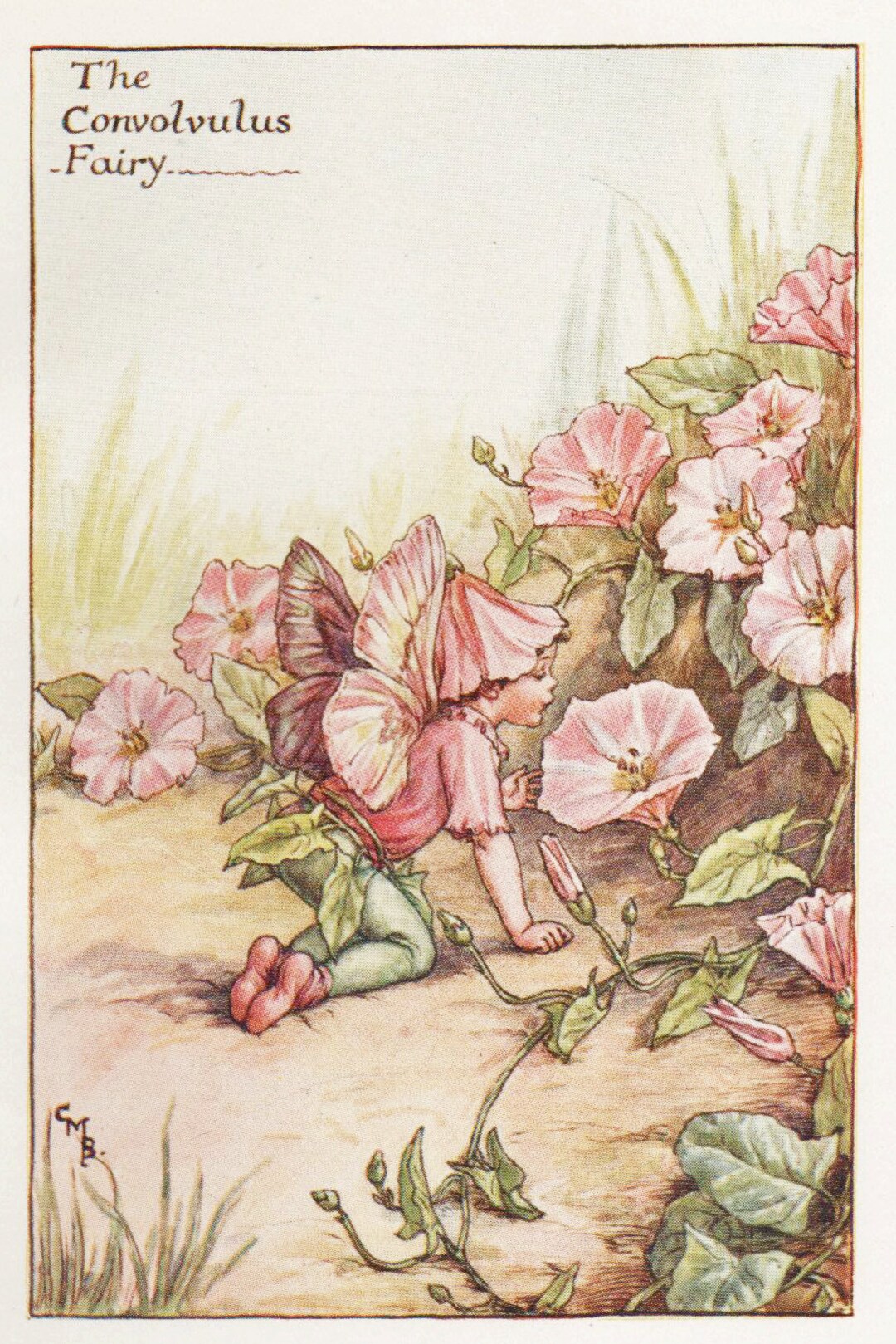 flower-fairies-the-convolvulus-fairy-vintage-print-c1930-by-cicely