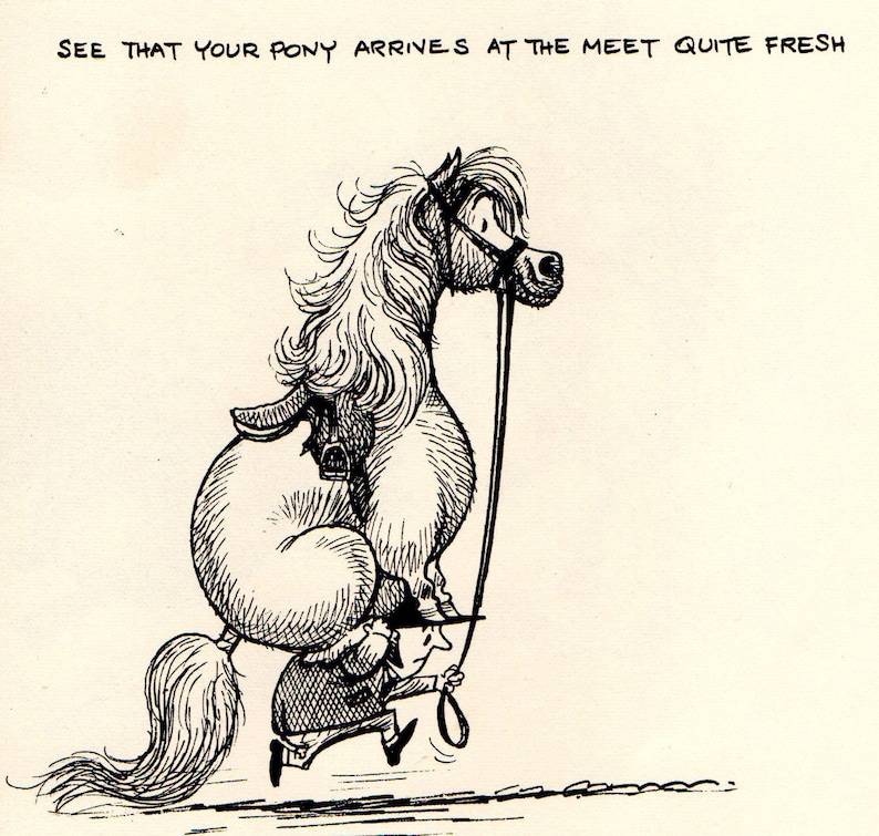 Original 1962 Funny THELWELL HORSE / PONY Vintage Art Cartoon Print image 1