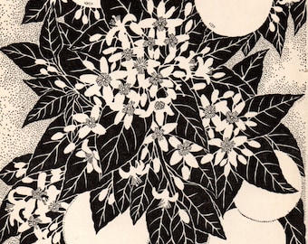1941 Don BLANDING Original Art Deco Vintage Print ORANGE BLOSSOMS