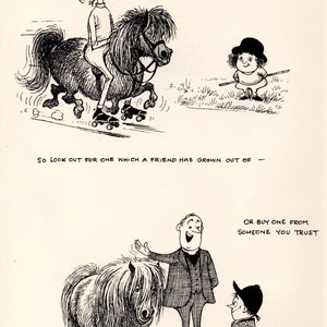Original 1962 Funny THELWELL HORSE / PONY Vintage Art Cartoon Print