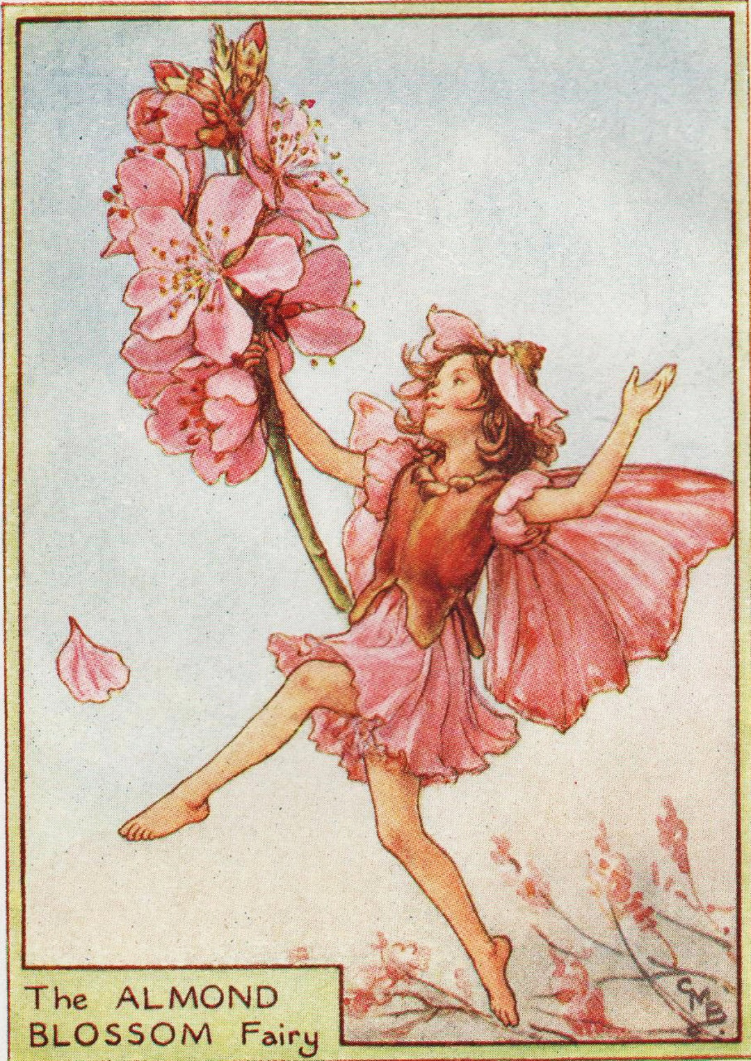 Flower Fairies: the ALMOND BLOSSOM FAIRY Vintage Print C1930
