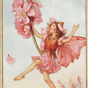 花の妖精：アーモンドの花の妖精 ヴィンテージプリント 1930年頃
