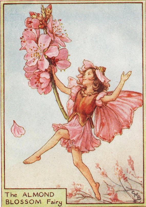 花の妖精：アーモンドの花の妖精 ヴィンテージプリント 1930年頃