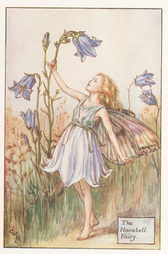 Flower Fairies: the HAREBELL FAIRY Vintage Print C1930 by Cicely