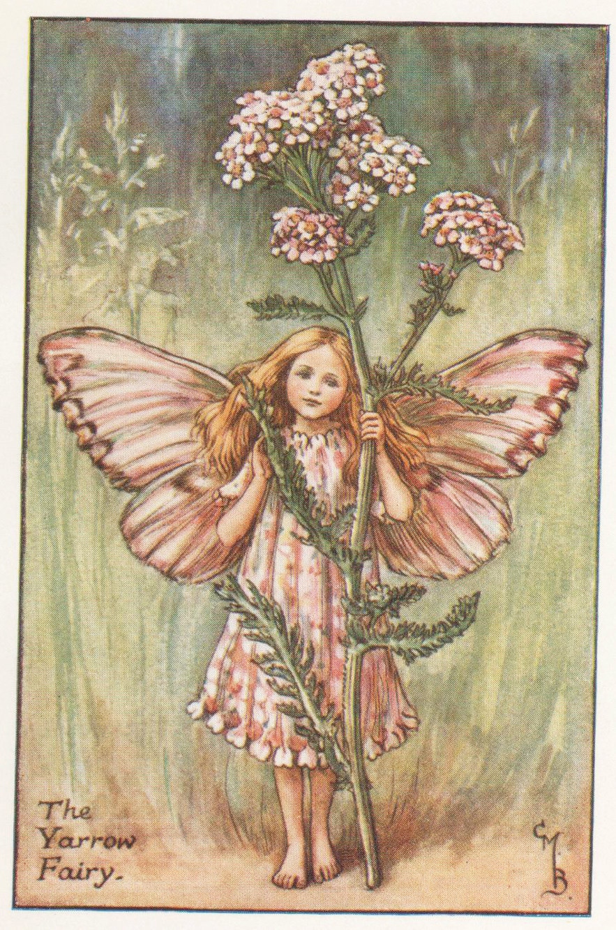 Flower Fairies: THE YARROW FAIRY Vintage Print C1930 by Cicely