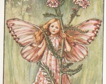 Flower Fairies: THE YARROW FAIRY Vintage Print C1930 by Cicely