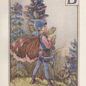 Alphabet Blumenfeen: B für BUGLE FLOWER FAIRY Vintage Print c1930 von Cicely Mary Barker Naturwaren