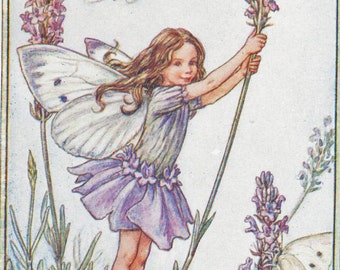 Flower Fairies: THE LAVENDER FAIRY Vintage Print c1930 by Cicely Mary Barker