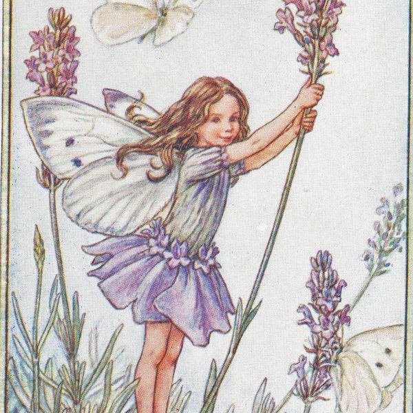 Fées des fleurs : impression vintage de la fée lavande c1930 par Cicely Mary Barker