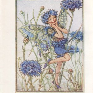 Flower Fairies: THE CORNFLOWER FAIRY Vintage Print c1930 by Cicely Mary Barker