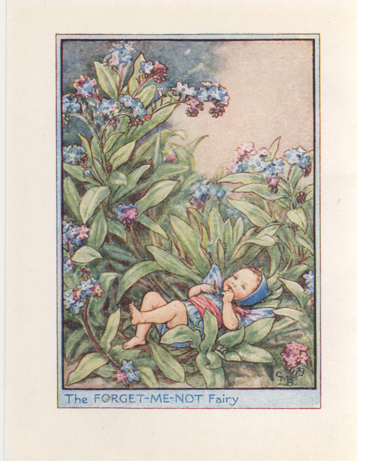 The Forget-me-not Fairy 額装アート Flower Fairies: the FORGET-ME-NOT Fairy Vintage Print C1930 by