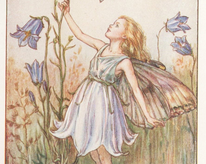Flower Fairies The Harebell Fairy Vintage Print C1930 By Etsy