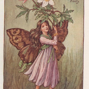Fate dei fiori: The WINDFLOWER FAIRY Vintage Print c1930 di Cicely Mary Barker