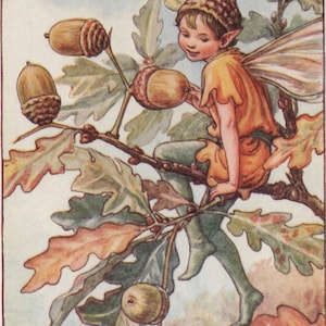Flower Fairies: THE ACORN FAIRY Vintage Print c1930 by Cicely Mary Barker