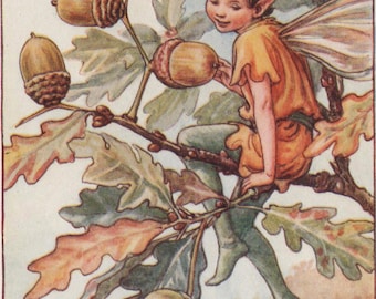 花の妖精：アーモンドの花の妖精 ヴィンテージプリント 1930年頃
