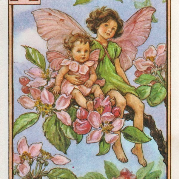 Alphabet Flower Fairies: A  for APPLE BLOSSOM FAIRY Vintage Print c1930 by Cicely Mary Barker letter