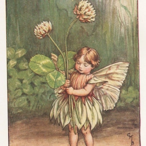 Kwiatowe wróżki: BIAŁA KONICZYNA WRÓŻKA Vintage Print ok. 1930 autorstwa Cicely Mary Barker