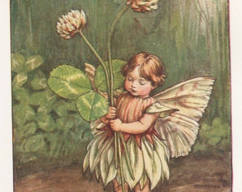 Flower Fairies: The WHITE CLOVER FAIRY Vintage Print c1930 by Cicely Mary Barker
