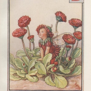 FLOWER FAIRIES POSTCARD ~ K IS FOR KINGCUP ~ CICELY MARY BARKER ~ 1934 DESIGN 