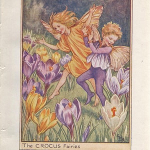 Flower Fairies: THE CROCUS FAIRIES Vintage Print c1930 by Cicely Mary Barker