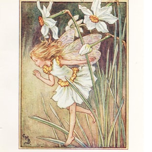 Flower Fairies: THE NARCISSUS FAIRY Vintage Print c1930 by Cicely Mary Barker