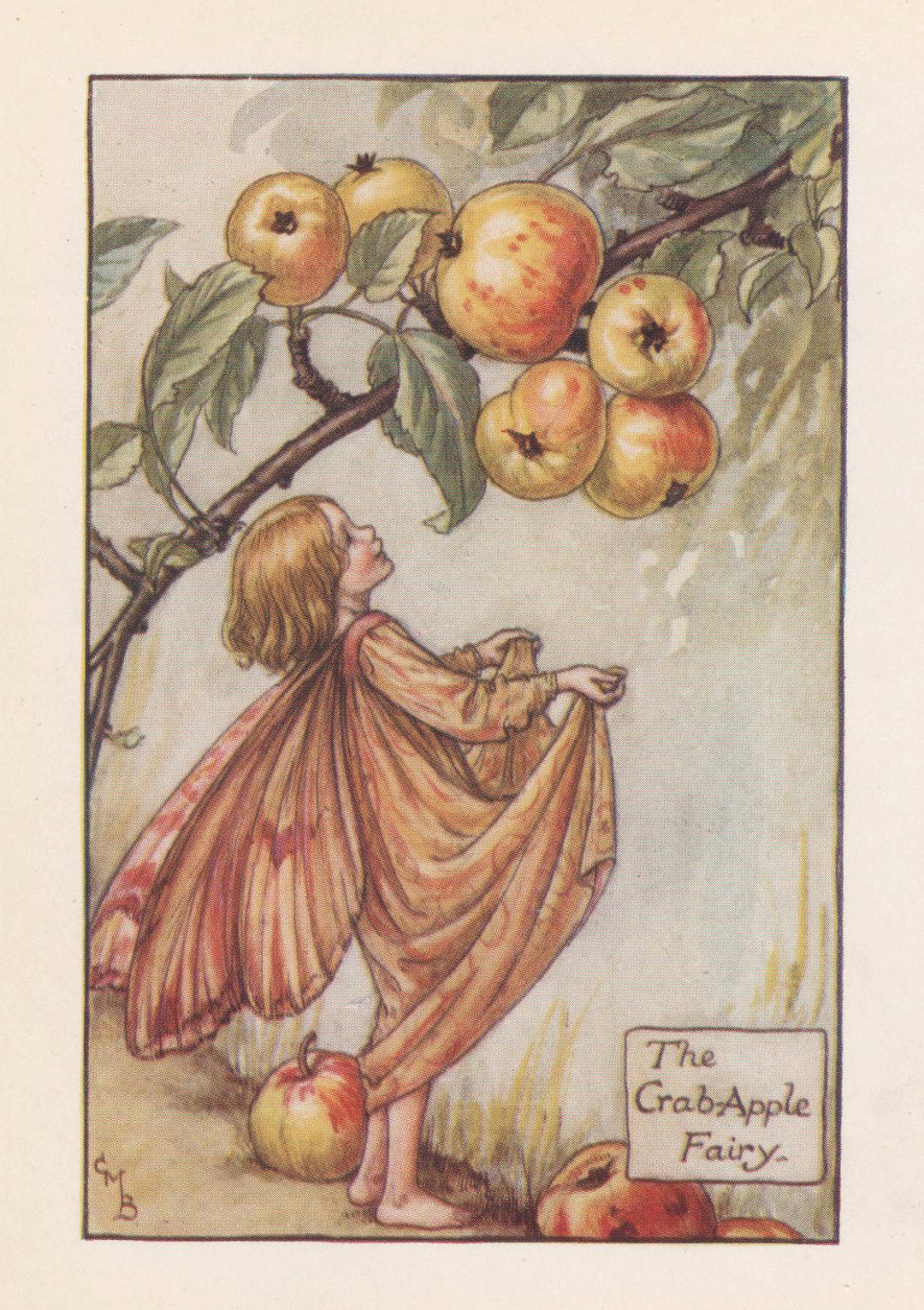 シシリー・メアリー・バーカー 花の妖精限定プレート【出産祝い