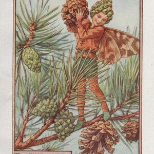 Flower Fairies: PINE TREE FAIRY Vintage Print c1930 by Cicely Mary Barker