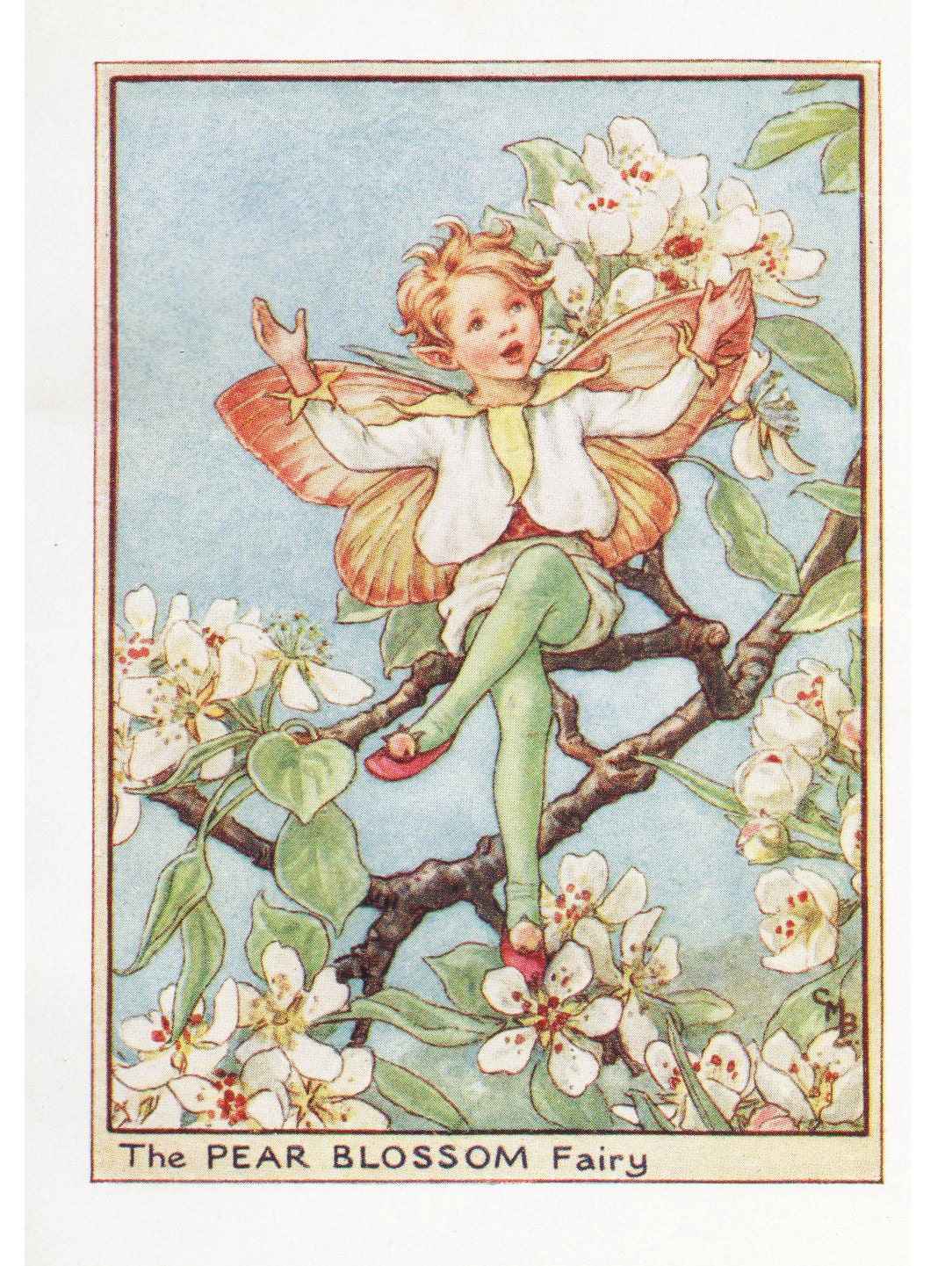 Hermann 桜の花妖精～Cherry Blossom Fairy～ Hermann 桜の花妖精～Cherry Blossom Fairy～ Cherry Blossom