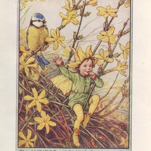 Fate dei fiori: La FATA DEL GELSOMINO INVERNALE Stampa vintage c1930 di Cicely Mary Barker
