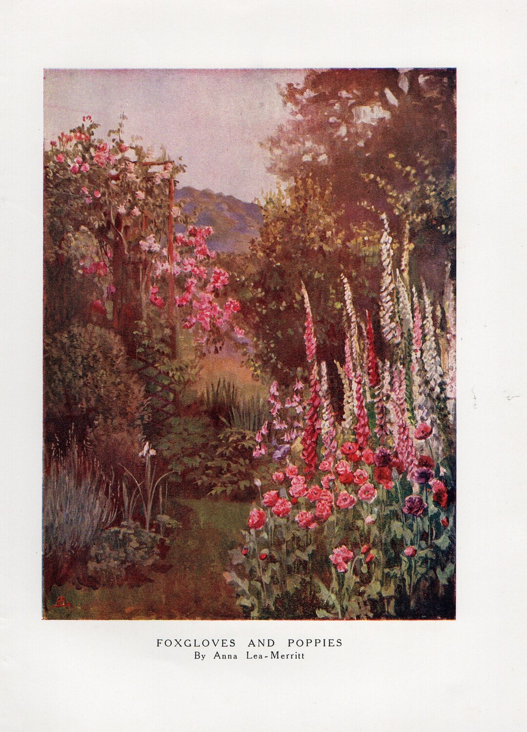 Foxgloves and Poppies 1909 Antique Flower Print by Anna Etsy