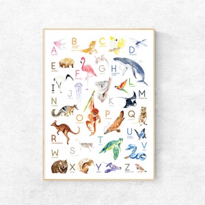 Animal, Wildlife Alphabet Watercolour Premium Print