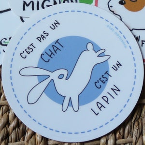 Sticker "C'est pas un chat c'est un lapin"