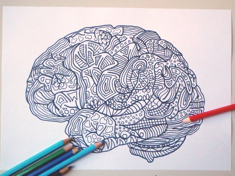 Brain Adults Coloring Book Funny Gift Smart Page - Etsy