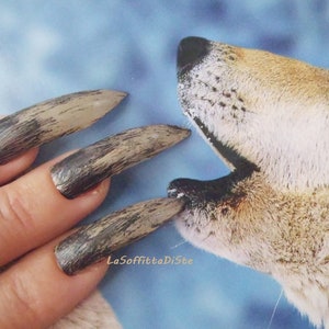 pointy curve werewolf halloween false nails witch zombie wolf