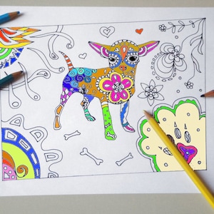 Chihuahua dog  coloring girl gale  sheet adult