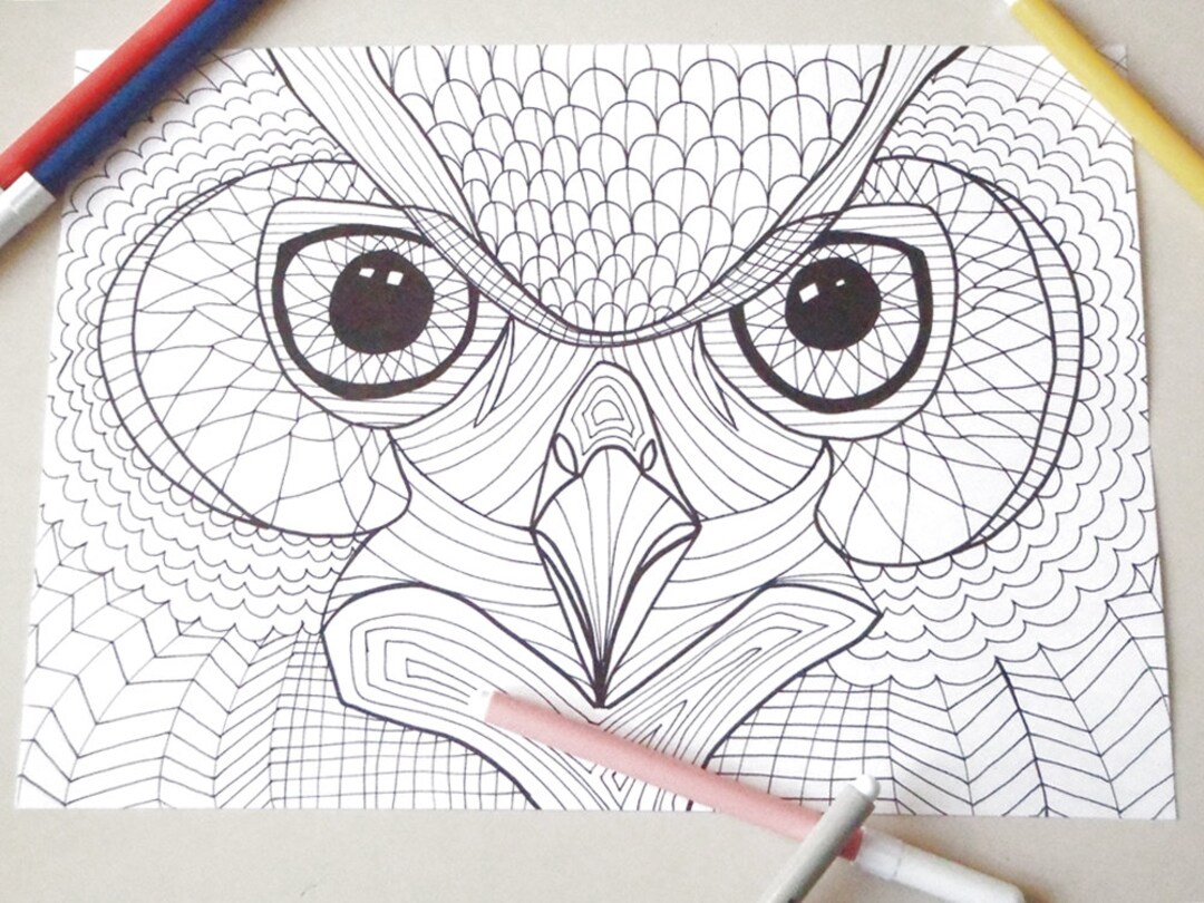 Owl Head Coloring Page Owl Eyes Kids Adults Instant Download Colouring ...