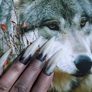 long werewolf pointy nails witch zombie halloween wolf