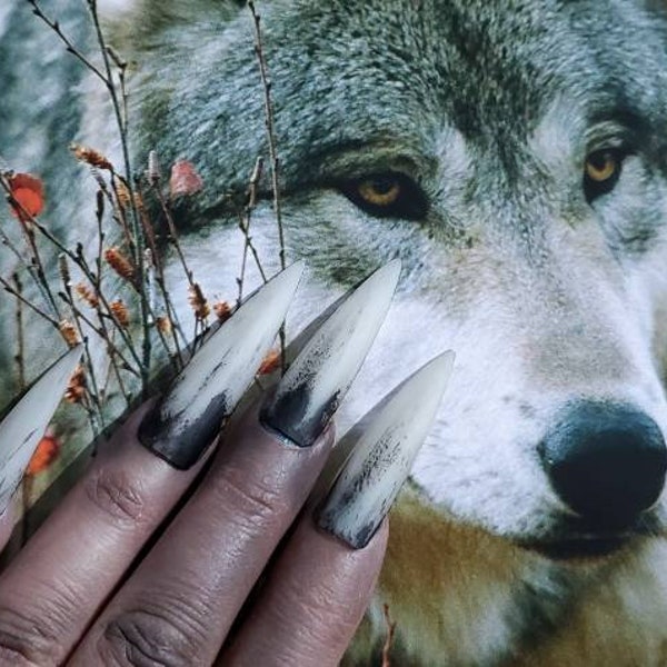 lange nagels weerwolf weerwolf weerwolf halloween heks zombie