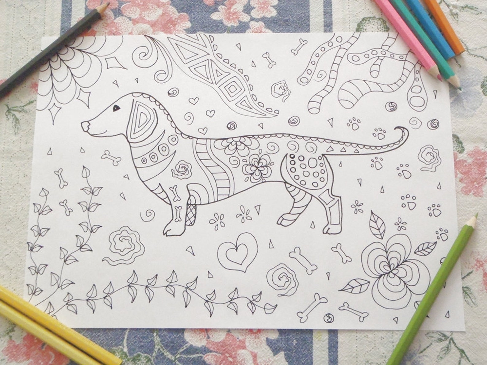 Dachshund Dog Coloring Sausage Dog Adult Sheet Adult Download | Etsy